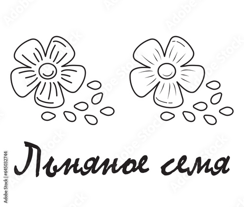 Badge flaxseed with the inscription "flaxseed" in Russian. Vector, eps