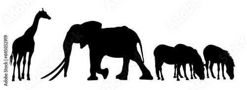 elefante, animal, vector, silueta, mamífero, ilustración, inhospitalario, fauna, animal, naturaleza