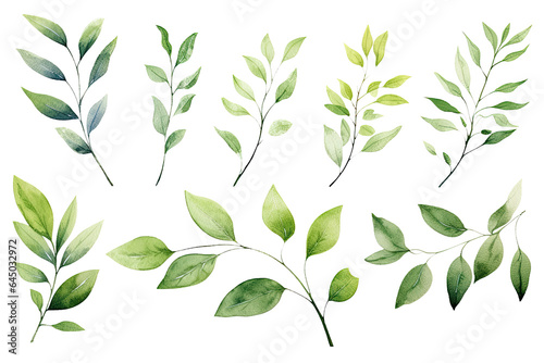 Watercolor Tropical spring branches floral green leaves and flowers elements set isolated on transparent background, bouquets greeting or wedding card invitation, decoration clip art mock up.