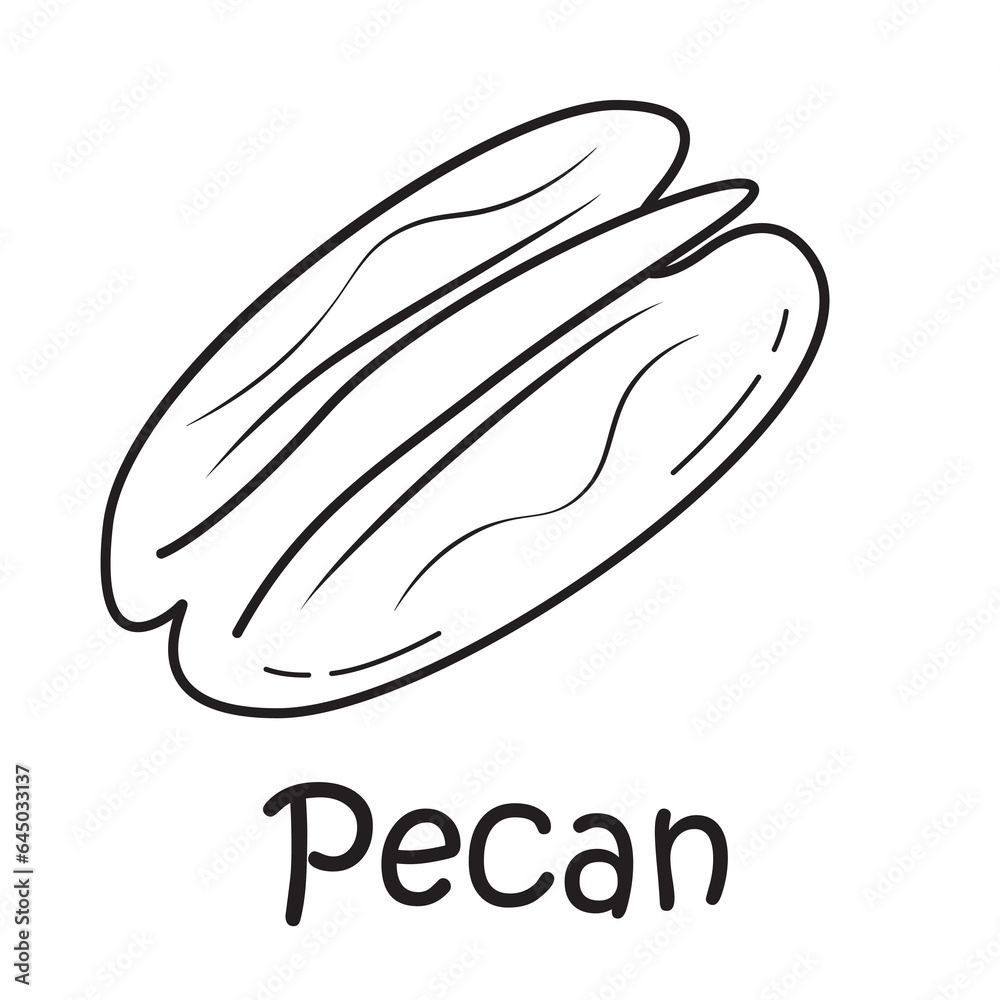 Badge pecan with the inscription. Vector image, eps Badge pecan with the inscription. Vector image, eps
