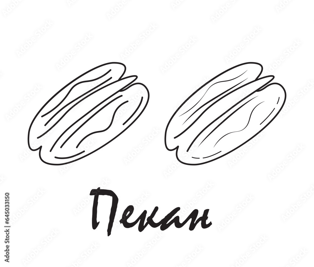Badge pecan with the inscription Badge pecan with the inscription