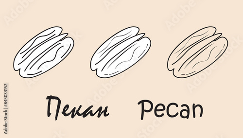 A set of objects depicting a pecan with the inscription "pecan" in Russian and English. Simple vector illustration, eps