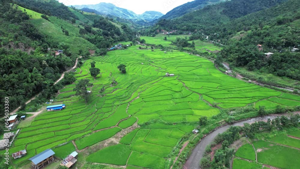 beautiful aerial scenery of lush rice fields Beautiful, which is located in the northern part of Thailand. beautiful aerial scenery of lush rice fields Beautiful, which is located in the northern part of Thailand.