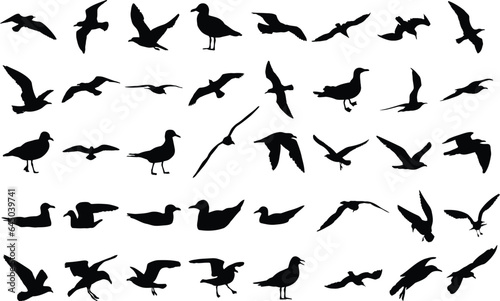 Collection of seagull silhouettes, isolated vector on white background