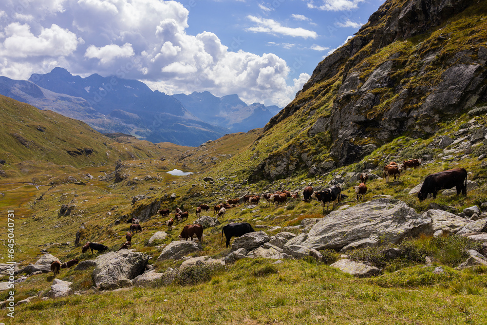 Aosta Valley, Italy: Vallone delle Cime Bianche