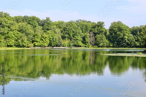 The quiet lake in the countryside on a sunny day.