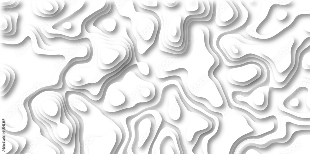 Abstract wavy line 3d paper cut white background. Topographic canyon geometric map relief texture with curved layers and shadow. paper cut 3d render topography abstract ,beautiful white color. Abstract wavy line 3d paper cut white background. Topographic canyon geometric map relief texture with curved layers and shadow. paper cut 3d render topography abstract ,beautiful white color.