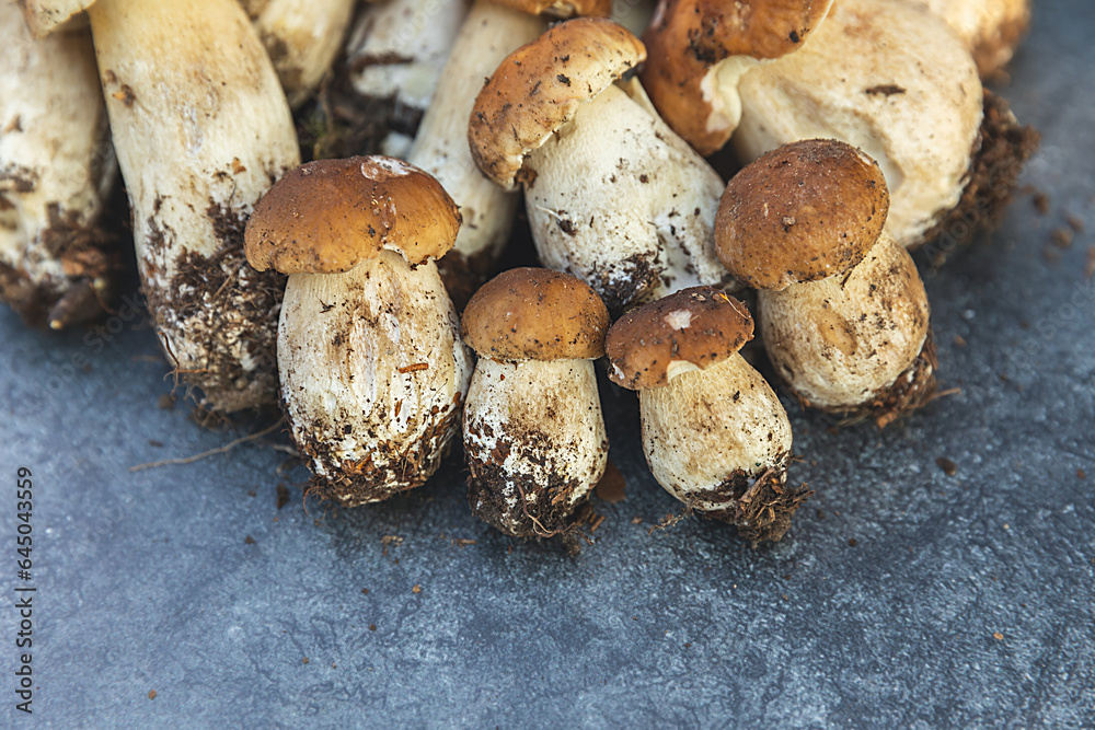 Autumn fall composition. Raw edible mushrooms Penny Bun on dark black stone shale background. Ceps over gray table. Cooking delicious organic mushroom gourmet food. Flat lay top view Autumn fall composition. Raw edible mushrooms Penny Bun on dark black stone shale background. Ceps over gray table. Cooking delicious organic mushroom gourmet food. Flat lay top view