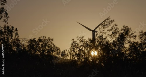 Tall grass with wind turbines windmills in the background at sunset near Palm Springs California