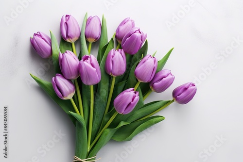 Purple Tulip Bouquet on White Background