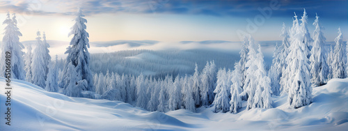 Siberian landscape in  in winter with snow, pine trees at sunset