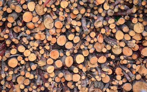 stack of firewood