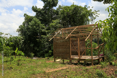 BriBri, Limon province, Costa Rica, wooden house under construction.