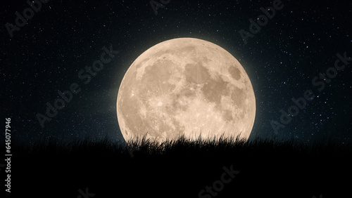 Fotografia Big amazing full moon with grass and starry sky