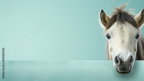 text space for advertising with funny part as portrait of a horse peeking over a colored panal