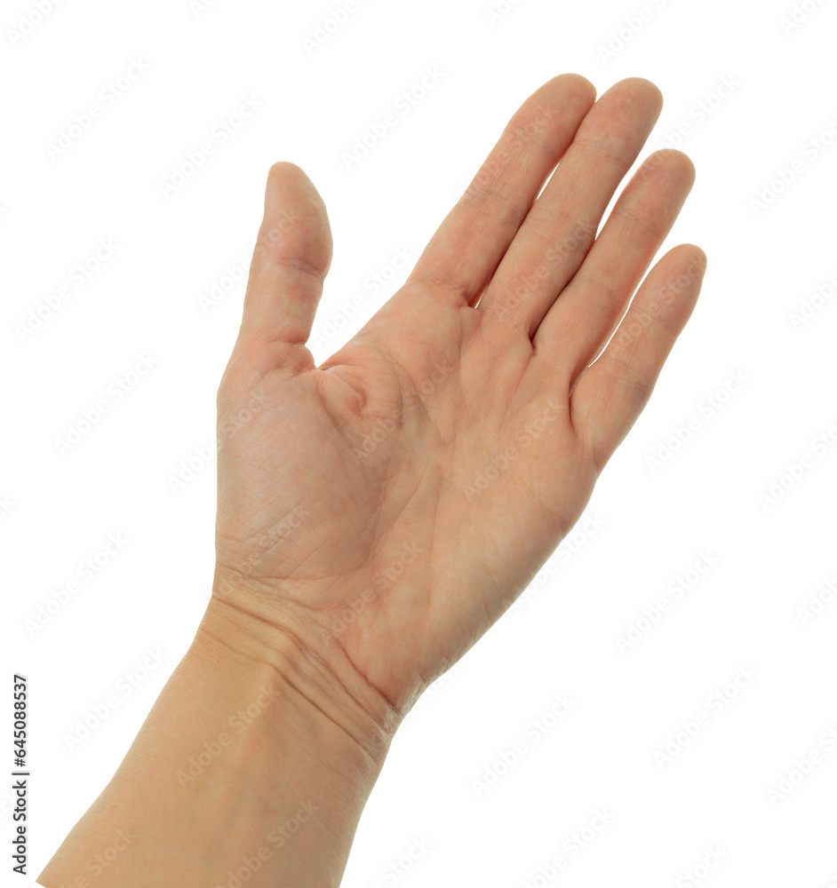 Helping hand concept and international day of peace, support. Helping hand outstretched,on transparent,png, salvation. Helping hand concept and international day of peace, support. Helping hand outstretched,on transparent,png, salvation.