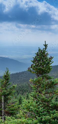 mountain landscape in the Canadian forest in the province of Quebec