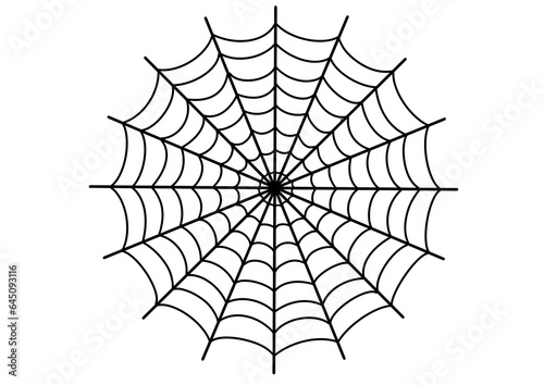 Spider Web Cobweb