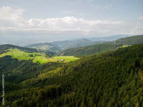 pine forest in mountains covered with fog after rain, green forest, summer, drone flight