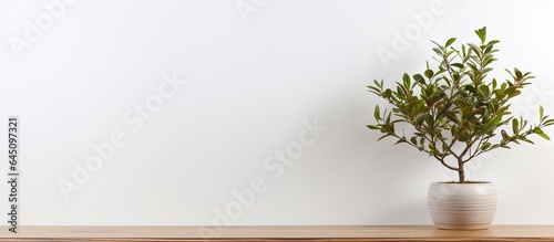 Wooden desk with potted tree on white wall  space for text.