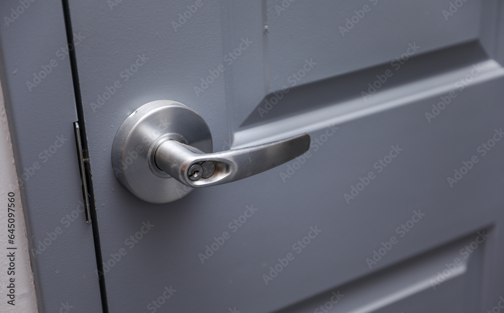 Door handles symbolize both access and privacy, bridging the threshold between worlds. These functional pieces also elevate architectural aesthetics Door handles symbolize both access and privacy, bridging the threshold between worlds. These functional pieces also elevate architectural aesthetics