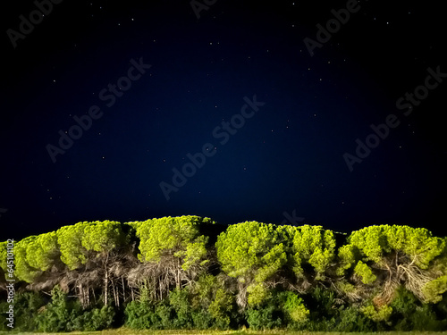 Night skyline in maremma 