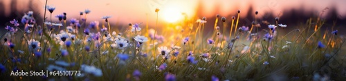 flowers and grass in a countryside at sunset time springtime Generative AI photo