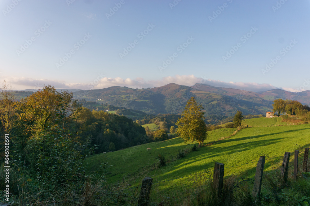 Obraz premium Beautiful landscape with meadow and hills in the Pyrenees Mountains of the Basque Country near Elizondo, Navarre, Spain