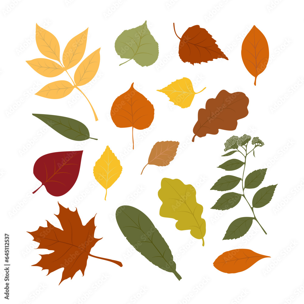 Obraz premium A set of stylized tree leaves. Collection of falling autumn leaves.