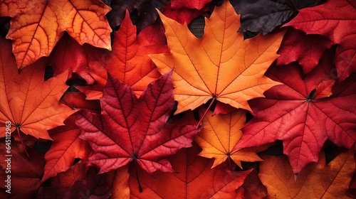 Autumn colorful maple leaves background  generative ai