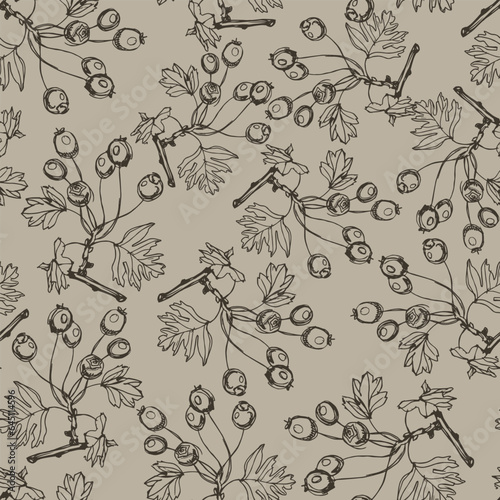 Seamless monochrome floral pattern with silhouetted branches of hawthorn tree. Hand drawn linear sketches. © Olena
