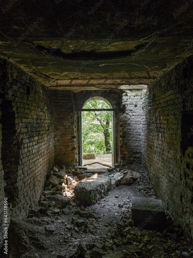 An arched exit from an old abandoned building or dungeon into the forest.