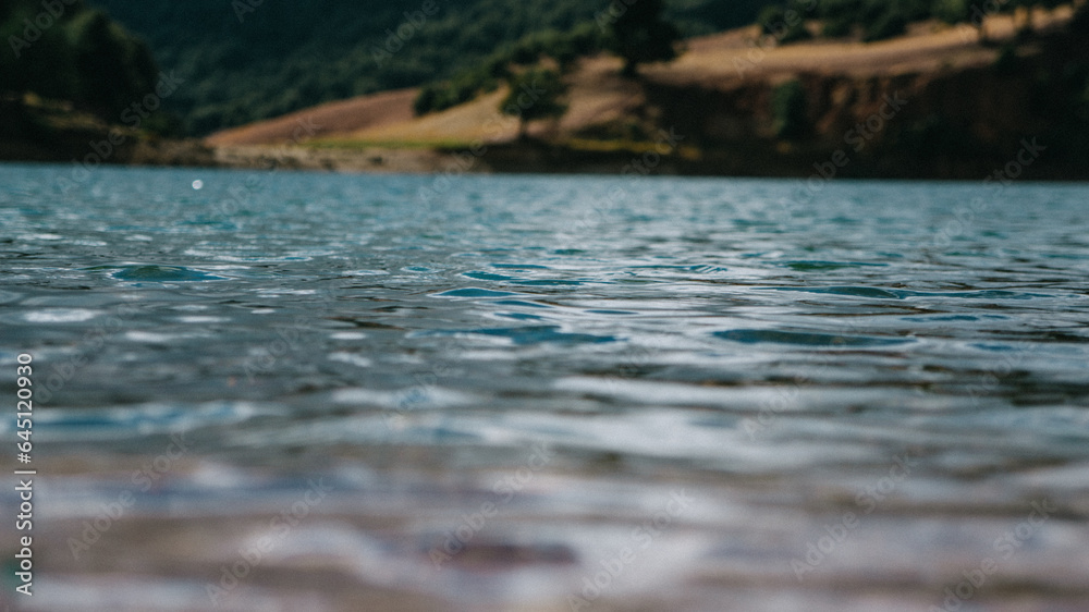 lake in the summer lake in the summer