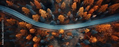 Tela aerial view of autumn forest with long road passing by, nature banner background