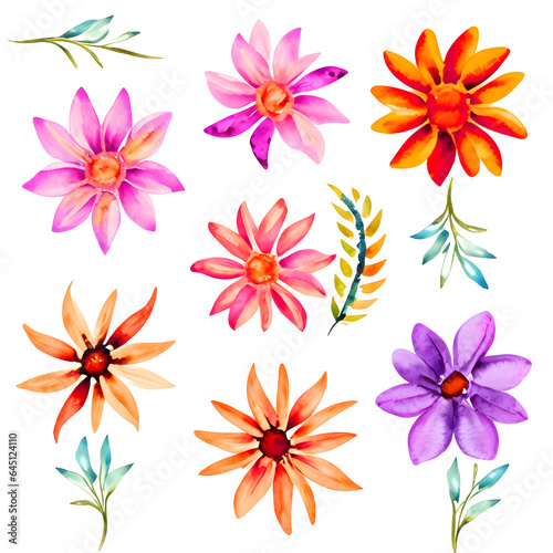 Colorful Watercolor Flowers And Leaves Collection