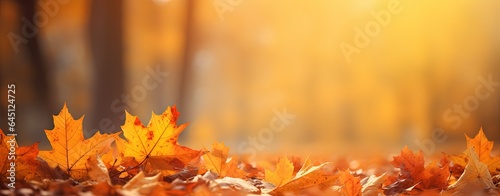 abstract seasonal banner background, close up autumn street covered with dry orange leaves, Generative Ai