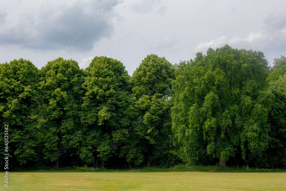Summer landscape with view of green grass meadow and big trees under white grey cloudy sky as background, Amsterdamse Bos (Forest) A park in the municipalities of Amstelveen and Amsterdam, Netherlands