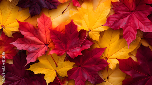 Autumn maple leaves background. Red and yellow maple leaves texture