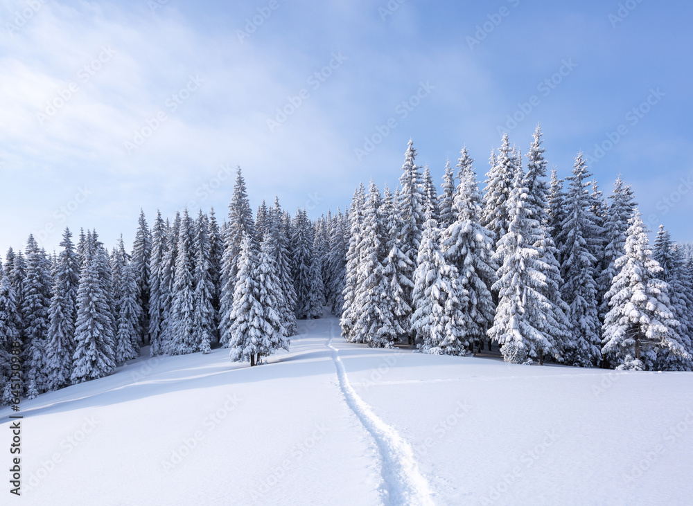 Winter landscape. Lawn covered with snow. High mountains with snow white peak. Snowy background. Location place the Carpathian, Ukraine, Europe.