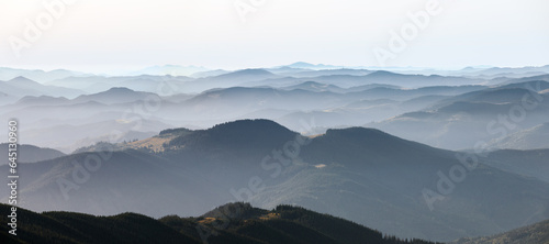 Landscape with high mountains. Fields and meadow are covered with morning fog and dew. Forest of the pine trees. The early morning mist. Natural scenery.
