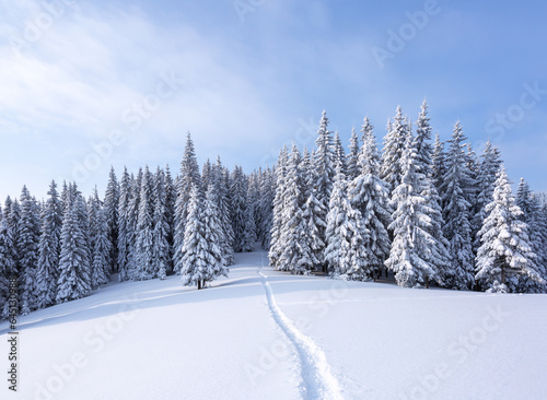 Winter landscape. Lawn covered with snow. High mountains with snow white peak. Snowy background. Location place the Carpathian, Ukraine, Europe.
