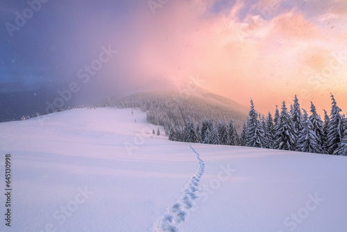 Winter. Amazing sunrise. High mountains with snow. A panoramic view of the covered with frost trees in the snowdrifts. Natural landscape with beautiful sky. © Vitalii_Mamchuk
