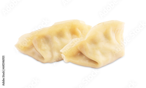 Delicious gyoza (asian dumplings) isolated on white