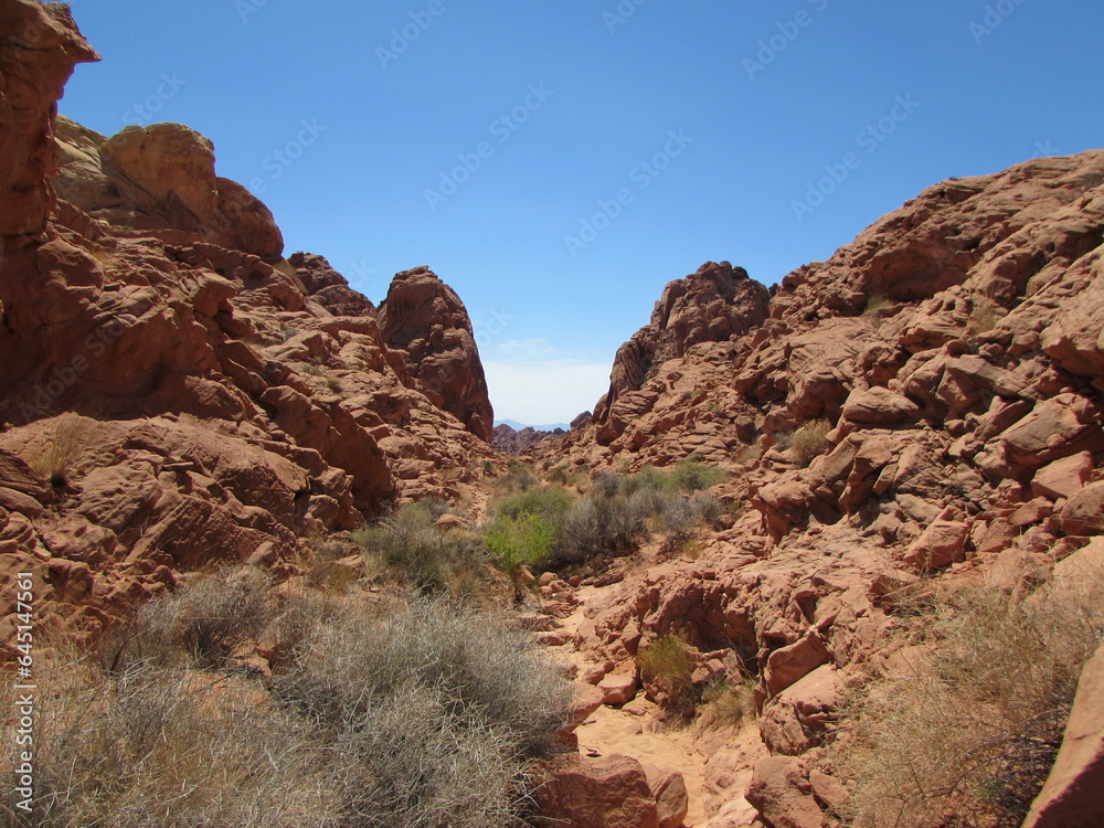 Fototapeta premium Paysage de la vallée de feu.