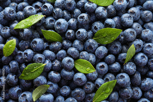 Billede på lærred Wet fresh blueberries with green leaves as background, top view