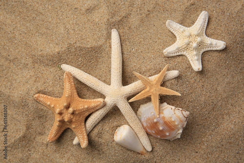 Beautiful starfishes and sea shells on sand, flat lay Beautiful starfishes and sea shells on sand, flat lay