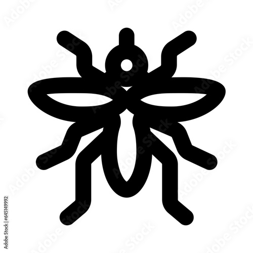 mosquito