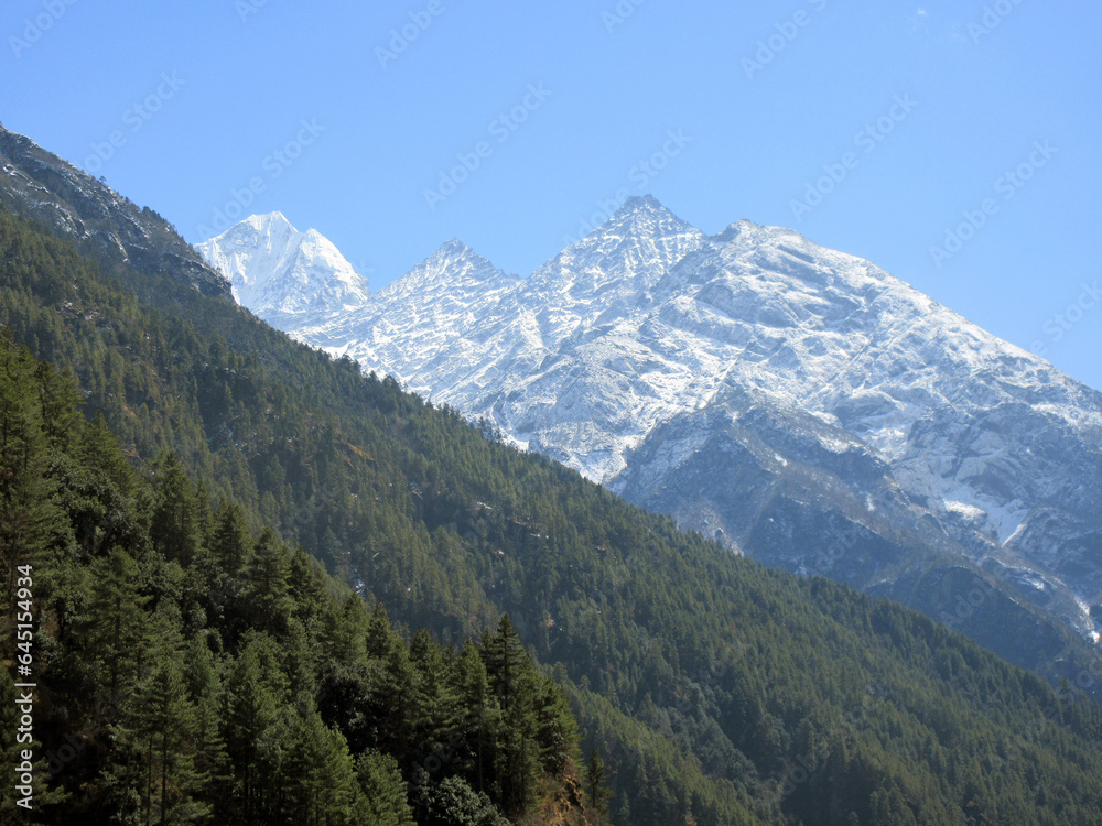 Himalayas mountains and forest