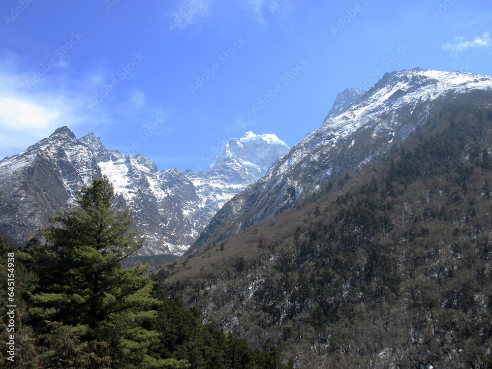Himalaya mountains and forest landscape