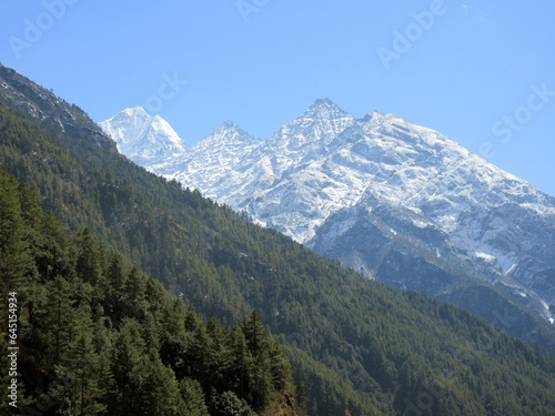 Himalayas mountains and forest